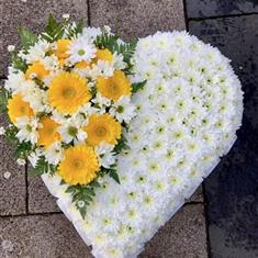 Yellow And White Massed Heart