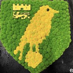 NCFC Badge