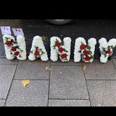 NANNY tribute reds &amp; whites