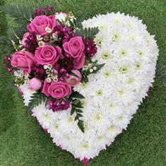 HEART in pinks tribute 