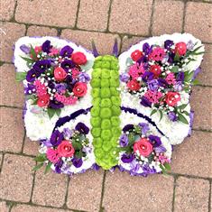 Beautiful butterfly 