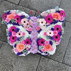 Pretty Butterfly