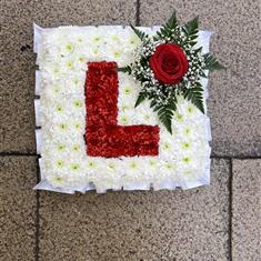 Learner Plate Tribute 