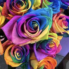 Rainbow Of Love 