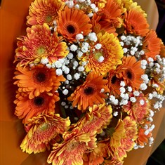 Orange Gerbera &amp; Gyp